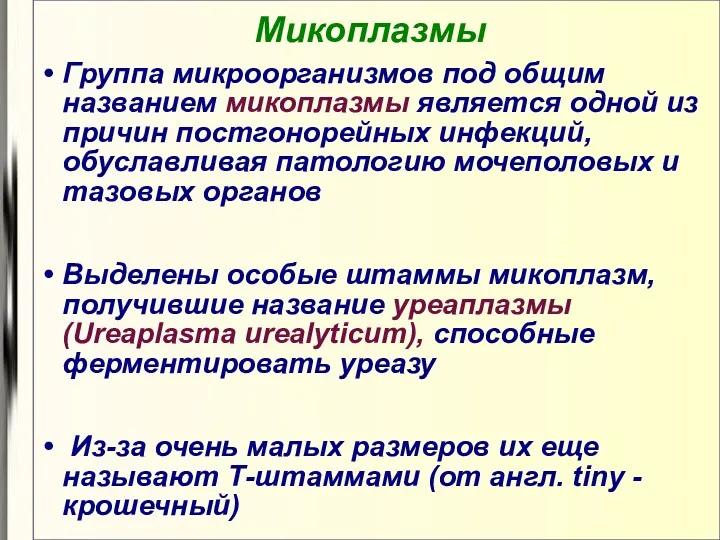 Микоплазмы Группа микроорганизмов под общим названием микоплазмы является одной из