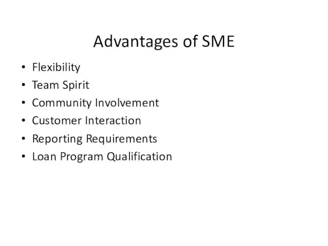 Advantages of SME Flexibility Team Spirit Community Involvement Customer Interaction Reporting Requirements Loan Program Qualification