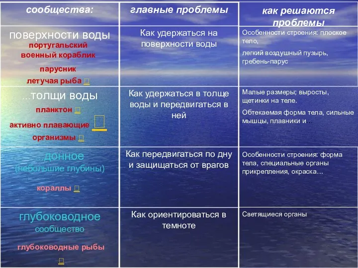 Малые размеры; выросты, щетинки на теле. Обтекаемая форма тела, сильные мышцы, плавники и…