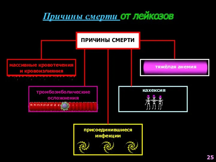 Причины смерти от лейкозов ПРИЧИНЫ СМЕРТИ массивные кровотечения и кровоизлияния