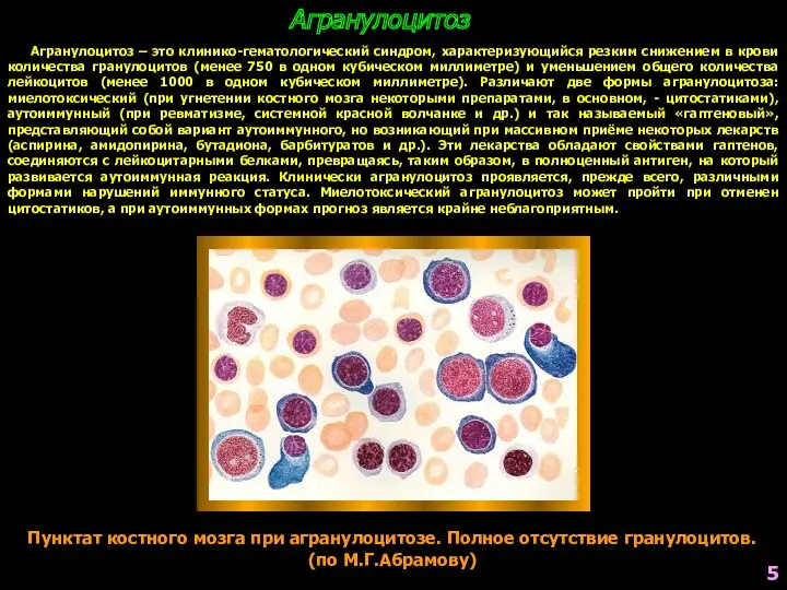 Пунктат костного мозга при агранулоцитозе. Полное отсутствие гранулоцитов. (по М.Г.Абрамову)