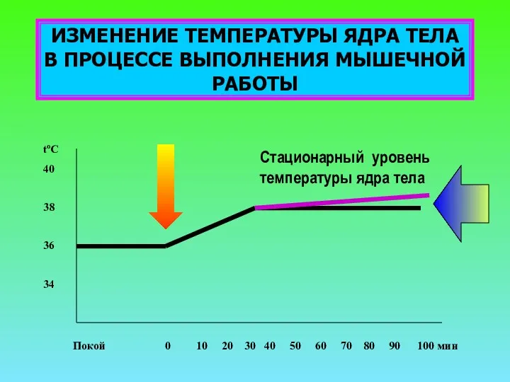 ИЗМЕНЕНИЕ ТЕМПЕРАТУРЫ ЯДРА ТЕЛА В ПРОЦЕССЕ ВЫПОЛНЕНИЯ МЫШЕЧНОЙ РАБОТЫ toC