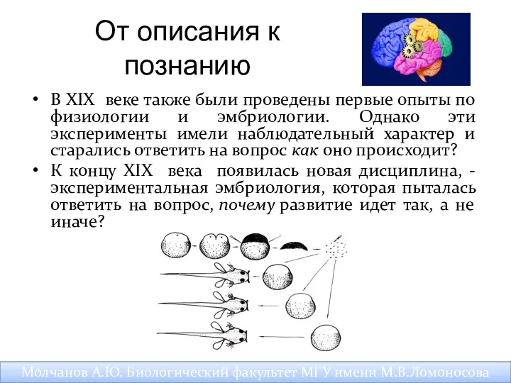 От описания к познанию В XIX веке также были проведены