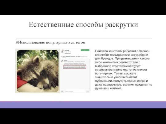 Естественные способы раскрутки #Использование популярных хештегов Поиск по хештегам работает