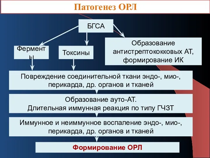 Патогенез ОРЛ БГСА Токсины Ферменты Образование антистрептококковых АТ, формирование ИК Повреждение соединительной ткани