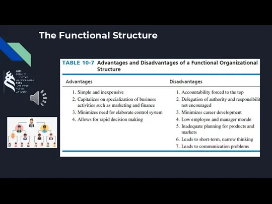 The Functional Structure