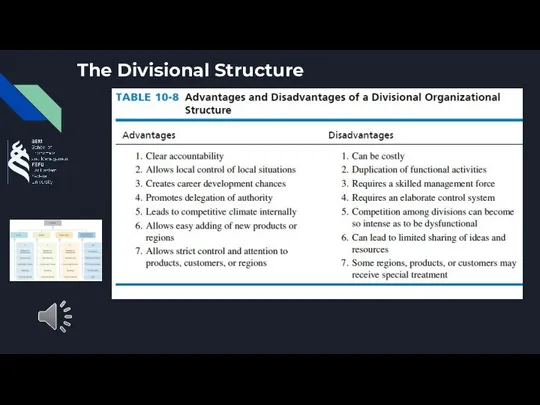 The Divisional Structure