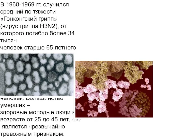 В 1968-1969 гг. случился средний по тяжести «Гонконгский грипп» (вирус