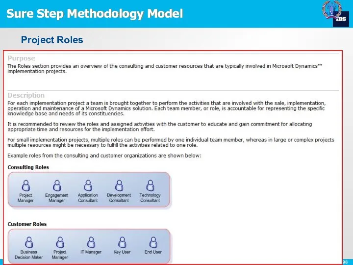 Sure Step Methodology Model Project Roles