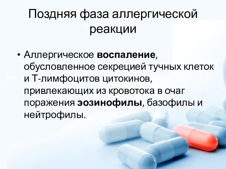 Поздняя фаза аллергической реакции Аллергическое воспаление, обусловленное секрецией тучных клеток