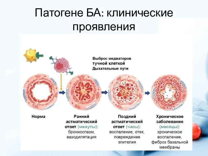 Патогене БА: клинические проявления