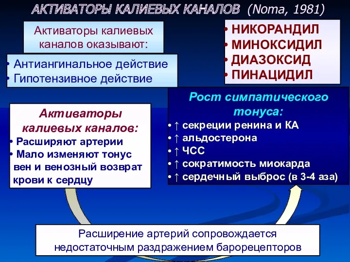 Расширение артерий сопровождается недостаточным раздражением барорецепторов НИКОРАНДИЛ МИНОКСИДИЛ ДИАЗОКСИД ПИНАЦИДИЛ