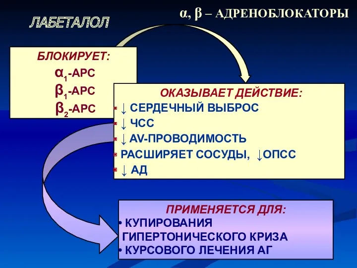 α, β – АДРЕНОБЛОКАТОРЫ ЛАБЕТАЛОЛ БЛОКИРУЕТ: α1-АРС β1-АРС β2-АРС ОКАЗЫВАЕТ