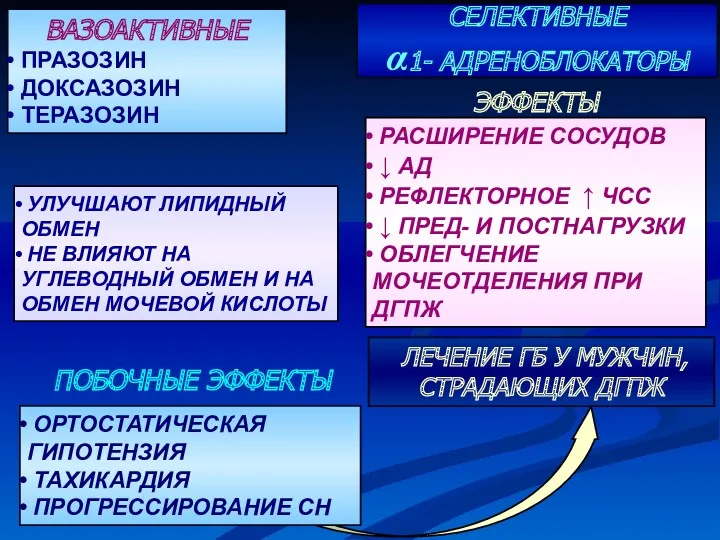 СЕЛЕКТИВНЫЕ α1- АДРЕНОБЛОКАТОРЫ ВАЗОАКТИВНЫЕ ПРАЗОЗИН ДОКСАЗОЗИН ТЕРАЗОЗИН УЛУЧШАЮТ ЛИПИДНЫЙ ОБМЕН