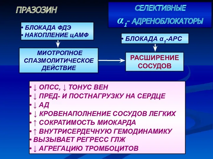 СЕЛЕКТИВНЫЕ α1- АДРЕНОБЛОКАТОРЫ ПРАЗОЗИН ↓ ОПСС, ↓ ТОНУС ВЕН ↓