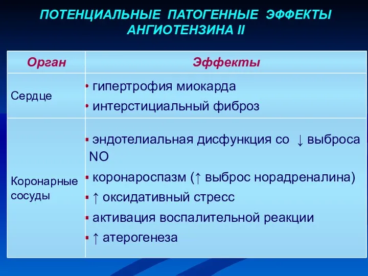 ПОТЕНЦИАЛЬНЫЕ ПАТОГЕННЫЕ ЭФФЕКТЫ АНГИОТЕНЗИНА II