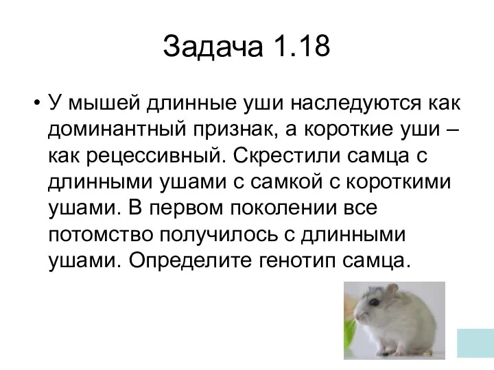 Задача 1.18 У мышей длинные уши наследуются как доминантный признак, а короткие уши