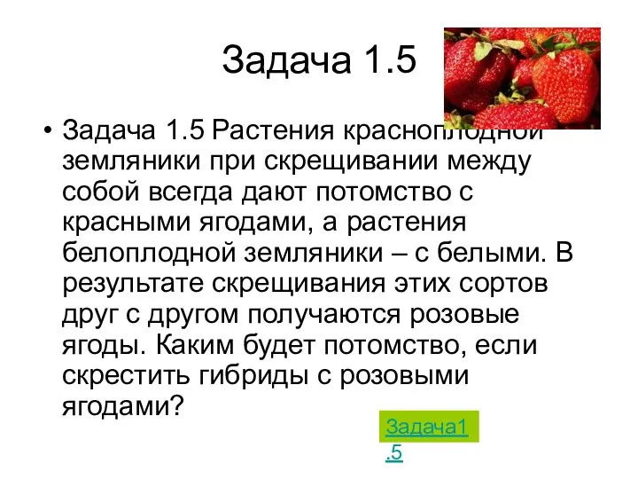 Задача 1.5 Задача 1.5 Растения красноплодной земляники при скрещивании между собой всегда дают