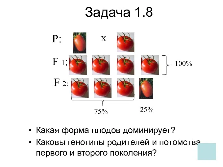 Задача 1.8 Какая форма плодов доминирует? Каковы генотипы родителей и