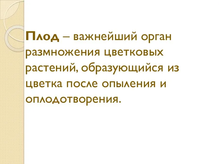 Плод – важнейший орган размножения цветковых растений, образующийся из цветка после опыления и оплодотворения.