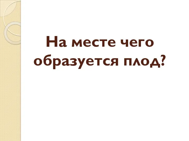 На месте чего образуется плод?