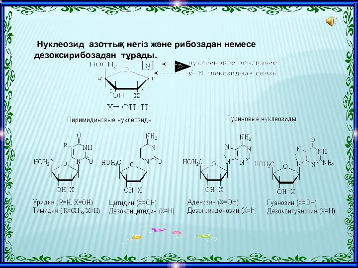 Нуклеозид азоттық негіз және рибозадан немесе дезоксирибозадан тұрады.