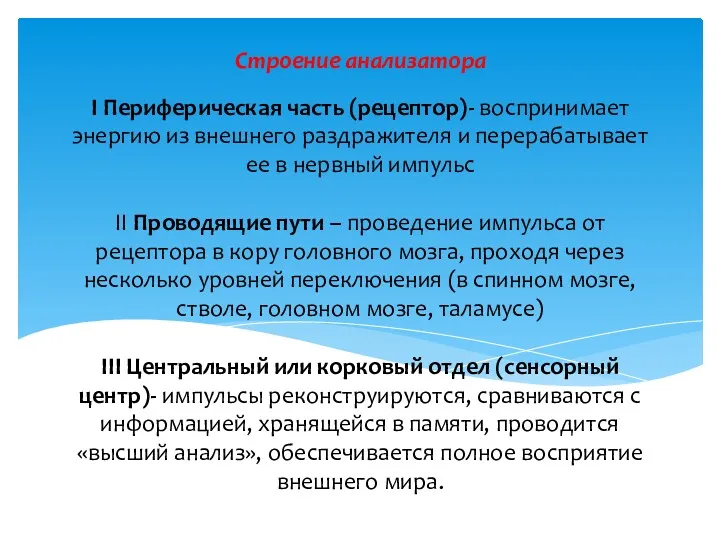 I Периферическая часть (рецептор)- воспринимает энергию из внешнего раздражителя и