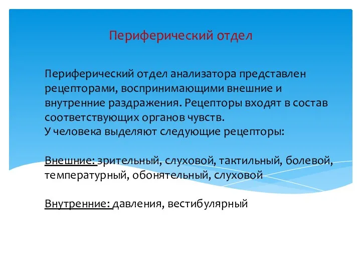 Периферический отдел анализатора представлен рецепторами, воспринимающими внешние и внутренние раздражения.