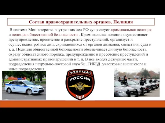 В системе Министерства внутренних дел РФ существует криминальная полиция и полиция общественной безопасности