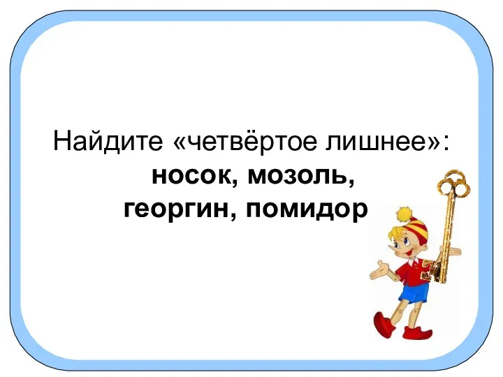 Найдите «четвёртое лишнее»: носок, мозоль, георгин, помидор.