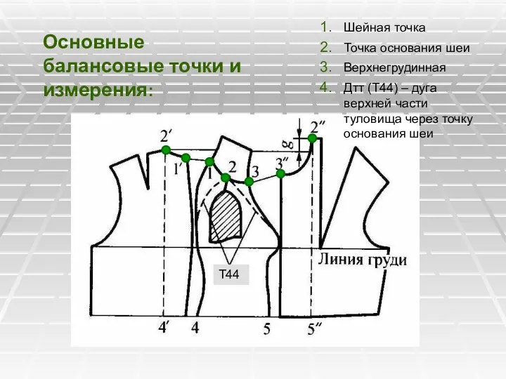 Основные балансовые точки и измерения: Шейная точка Точка основания шеи