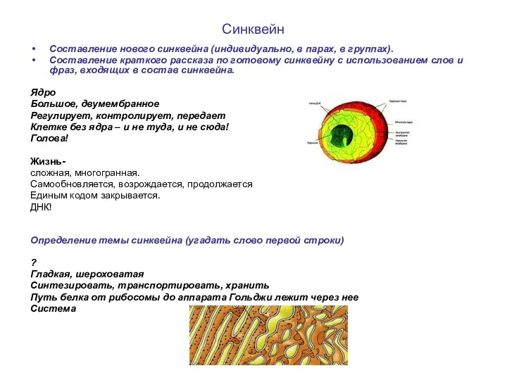 Синквейн Составление нового синквейна (индивидуально, в парах, в группах). Составление