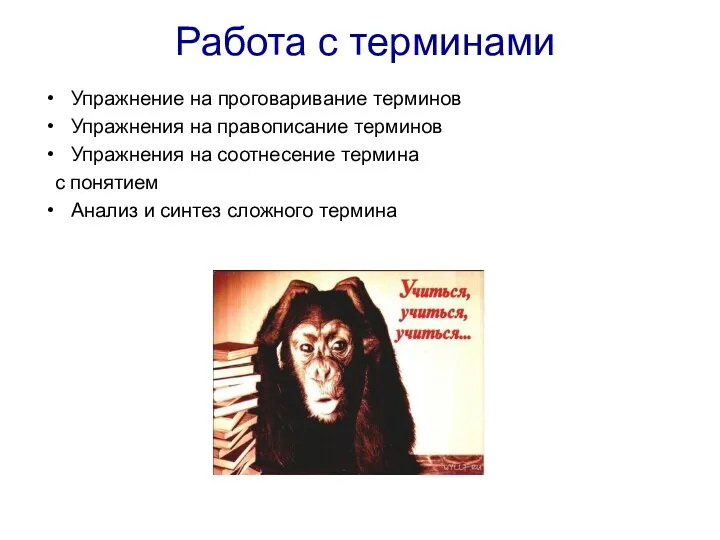 Работа с терминами Упражнение на проговаривание терминов Упражнения на правописание