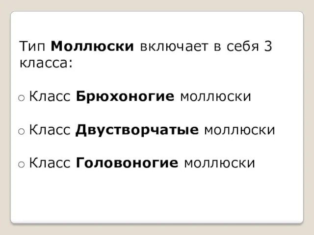 Тип Моллюски включает в себя 3 класса: Класс Брюхоногие моллюски Класс Двустворчатые моллюски Класс Головоногие моллюски