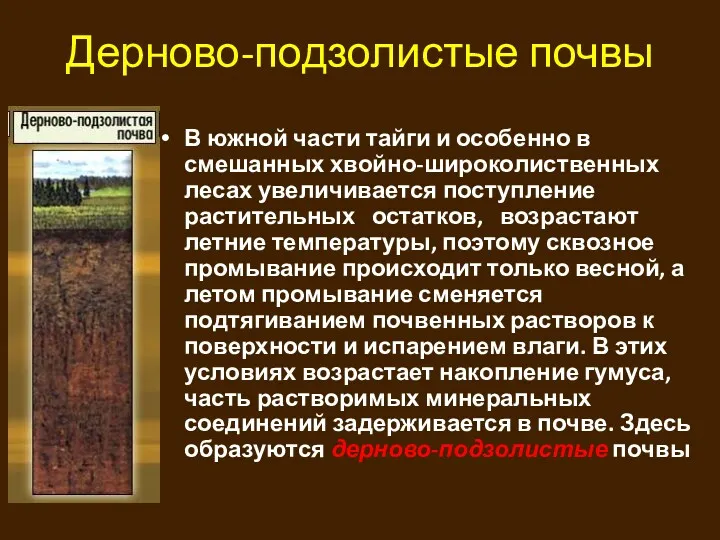 Дерново-подзолистые почвы В южной части тайги и особенно в смешанных