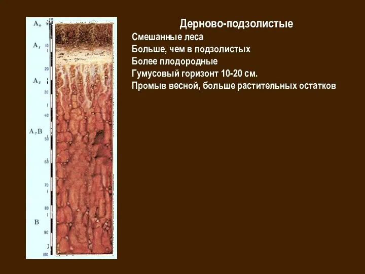 Дерново-подзолистые Смешанные леса Больше, чем в подзолистых Более плодородные Гумусовый