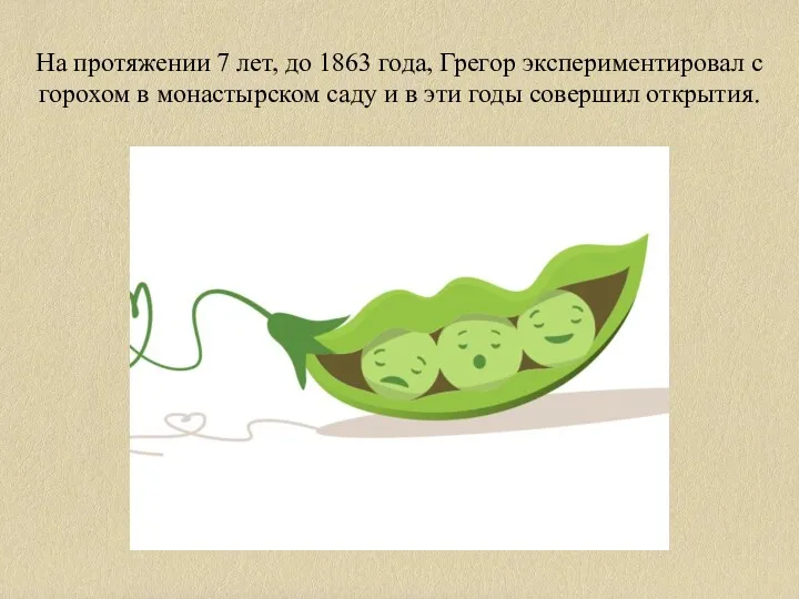 На протяжении 7 лет, до 1863 года, Грегор экспериментировал с