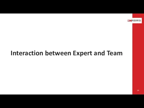 Interaction between Expert and Team