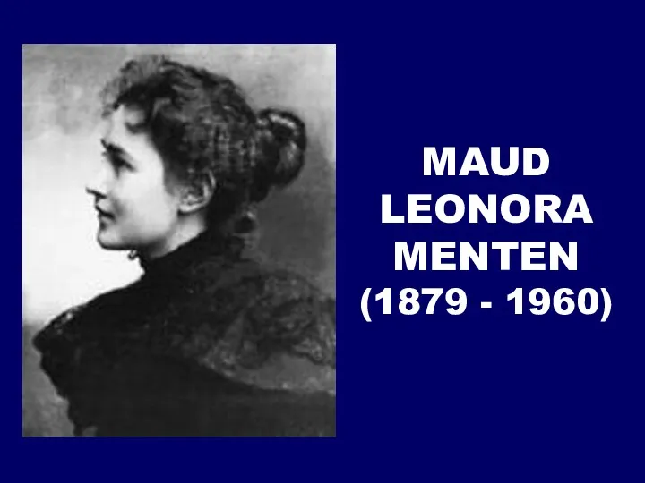 MAUD LEONORA MENTEN (1879 - 1960)