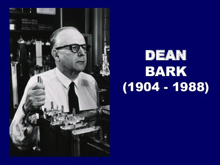 DEAN BARK (1904 - 1988)
