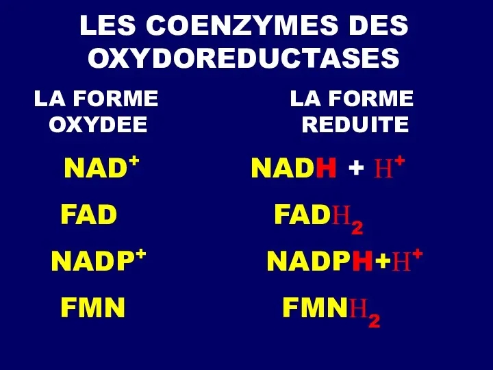 LES COENZYMES DES OXYDOREDUCTASES LA FORME LA FORME OXYDEE REDUITE