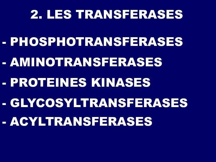 2. LES TRANSFERASES - PROTEINES KINASES - GLYCOSYLTRANSFERASES - ACYLTRANSFERASES - PHOSPHOTRANSFERASES - AMINOTRANSFERASES