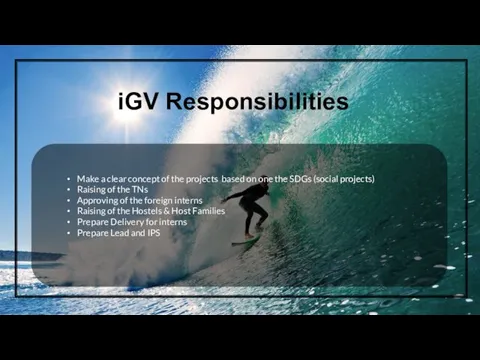 iGV Responsibilities Make a clear concept of the projects based