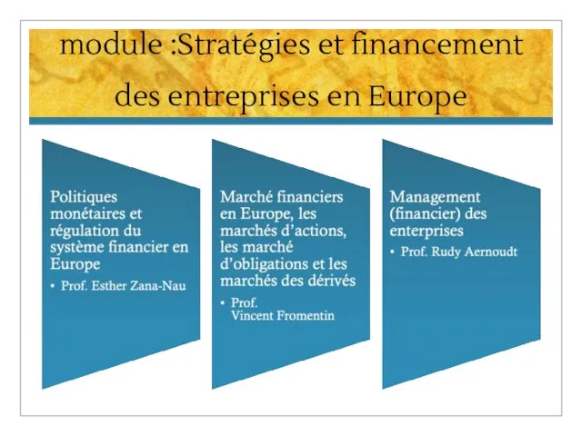 module :Stratégies et financement des entreprises en Europe