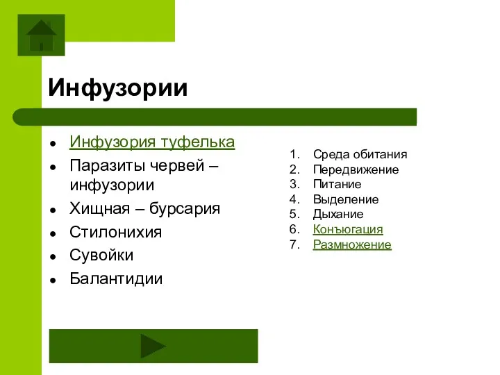 Инфузория туфелька Паразиты червей – инфузории Хищная – бурсария Стилонихия