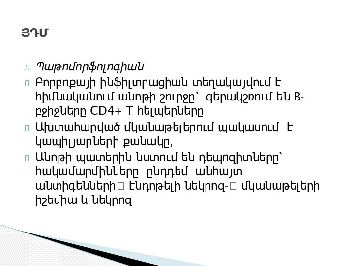 Պաթոմորֆոլոգիան Բորբոքայի ինֆիլտրացիան տեղակայվում է հիմնականում անոթի շուրջը՝ գերակշռում են