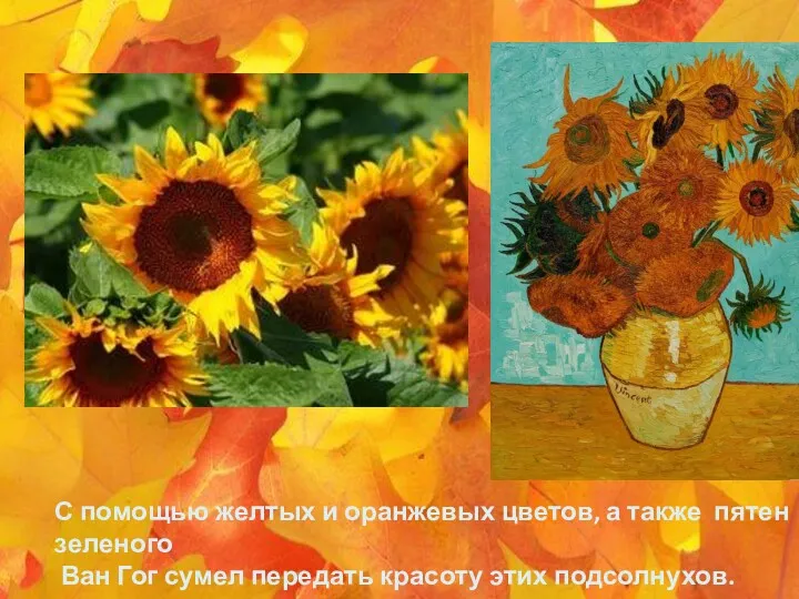 С помощью желтых и оранжевых цветов, а также пятен зеленого Ван Гог сумел