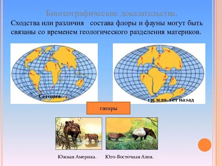 Сегодня 135 млн.лет назад Биогеографические доказательства. Сходства или различия состава флоры и фауны
