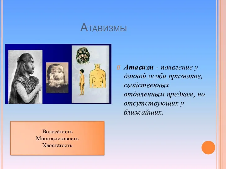 Атавизмы Атавизм - появление у данной особи признаков, свойственных отдаленным предкам, но отсутствующих