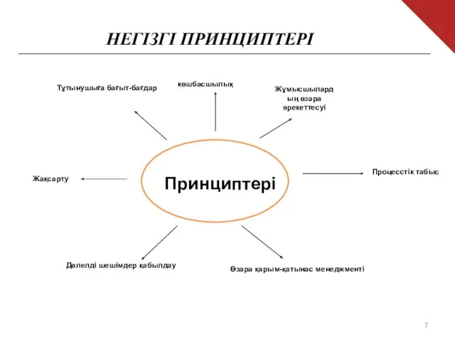 Принциптері Тұтынушыға бағыт-бағдар Жұмысшылардың өзара әрекеттесуі көшбасшылық Процесстік табыс Жақсарту